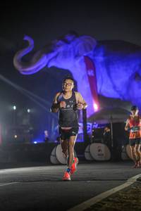 BIB: 
                            <button type="button" onclick="openModal(26531206)" class="btn btn-primary btn-sm float-right btn-popup" data-toggle="modal" data-target=".modal-high-quality">
                        <i class="fas fa-shopping-cart"></i> Add to Cart
                    </button>
                                            <button type="button" onclick="isThisMe(26531206, true)" class="btn btn-success btn-sm float-right btn-popup btn-isme hidden" data-toggle="tooltip" data-placement="bottom" title="นี่คือรูปของคุณใช่ไหม คลิกที่นี่เพื่อเอาเข้าอัลบั้ม">
                        <i class="fas fa-plus"></i> Add to album
                    </button>
                    <button type="button" onclick="isThisMe(26531206, false)" class="btn btn-warning btn-sm float-right btn-popup btn-isnotme hidden">
                        <i class="fas fa-ban"></i> Remove from album
                    </button>